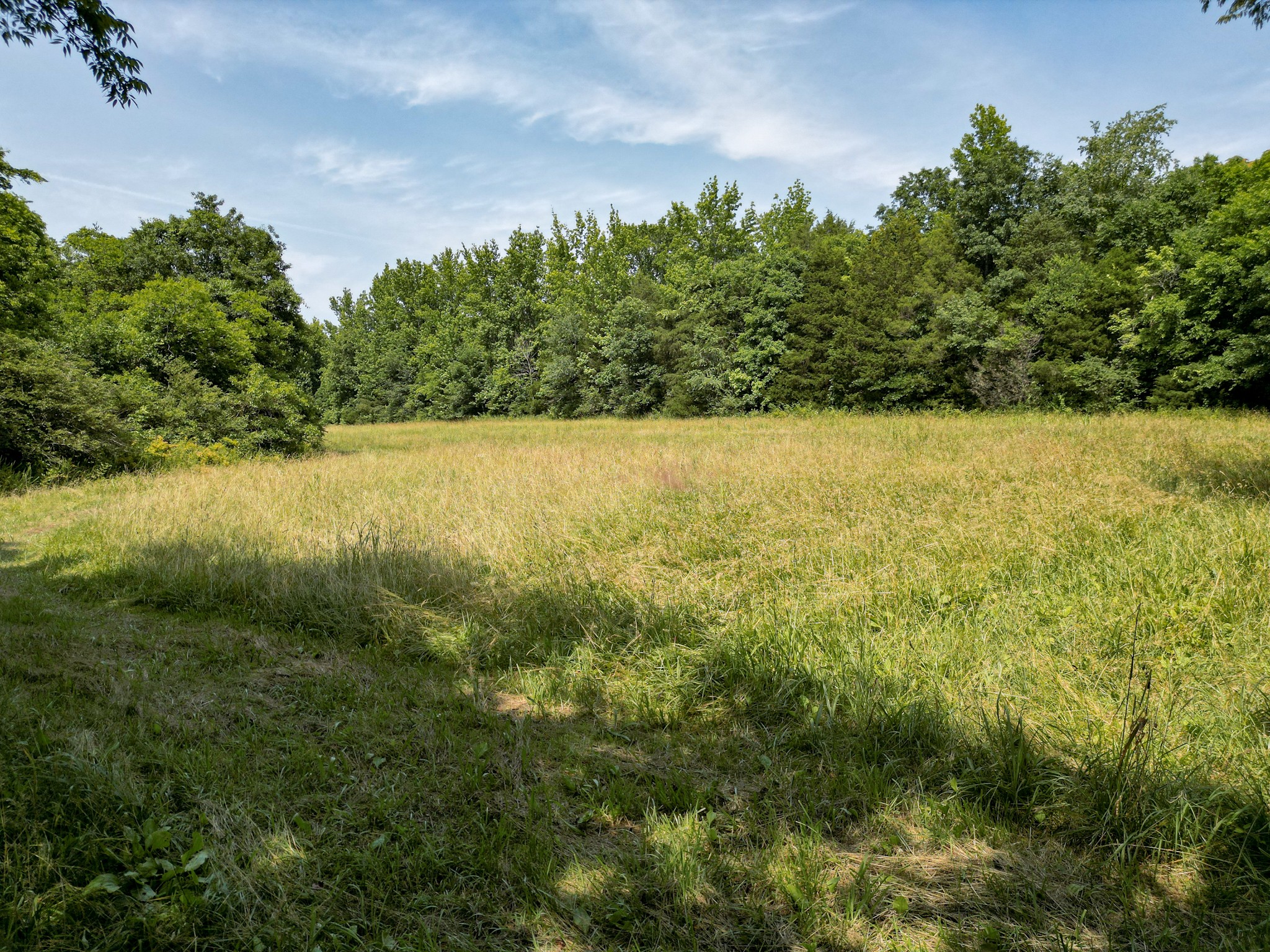 0 Choctaw Road College Grove, TN 37046 - Photo 37 of 41