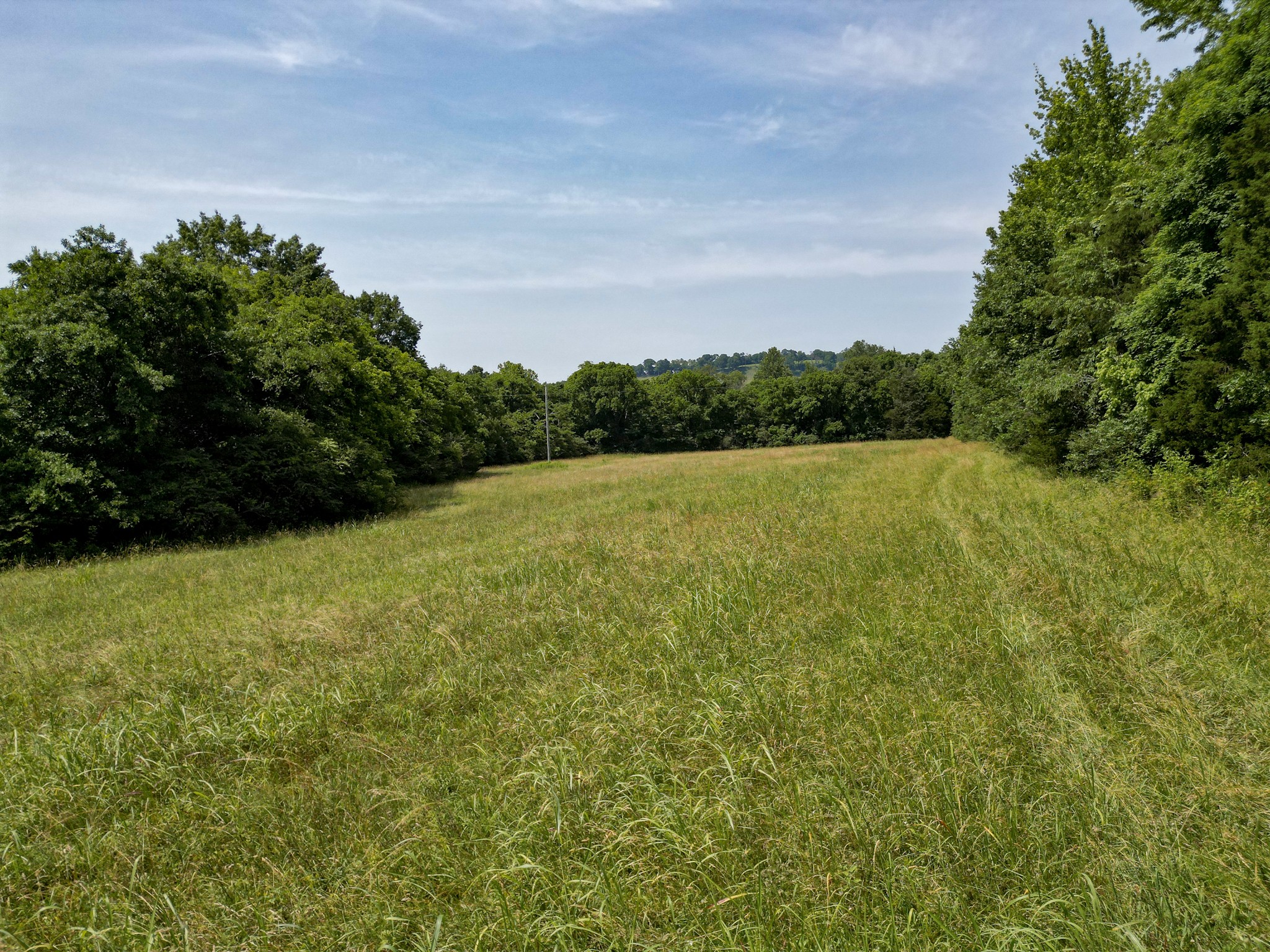 0 Choctaw Road College Grove, TN 37046 - Photo 38 of 41