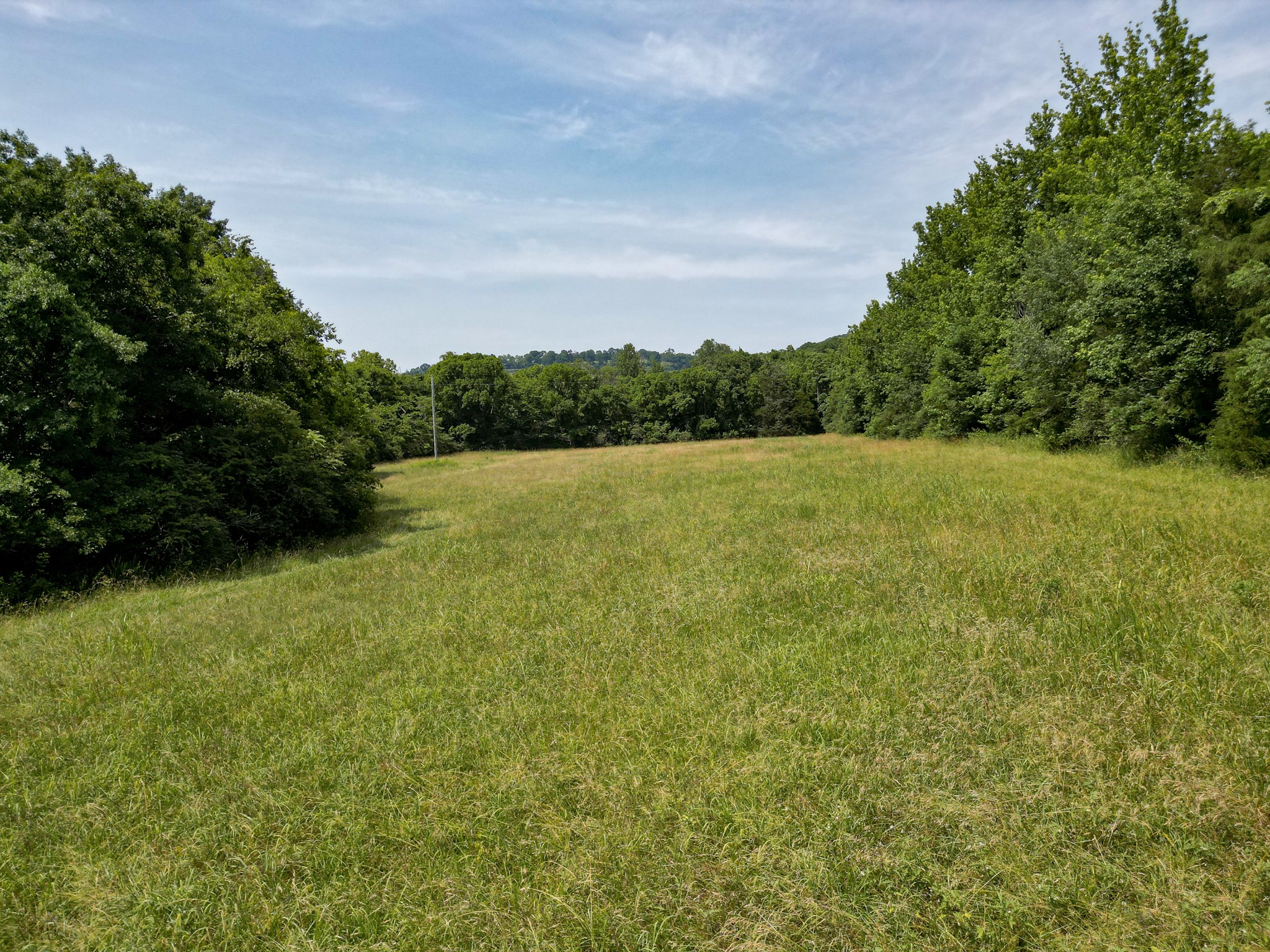 0 Choctaw Road College Grove, TN 37046 - Photo 8 of 41