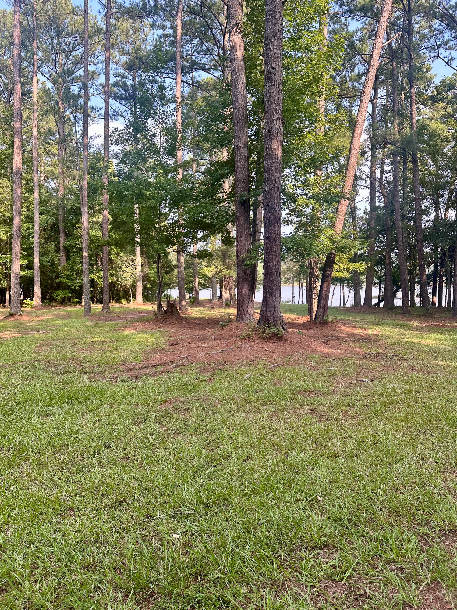 Lot 2 Holly Road Tignall, GA 30668 - Photo 6 of 7 IMG_3180