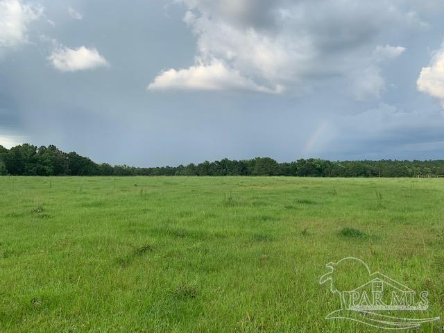 68428 A Scranage Road Atmore, AL 36502 - Photo 1 of 25