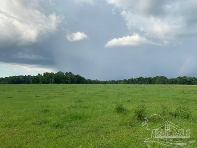 68428 A Scranage Road Atmore, AL 36502 - Photo 2 of 25