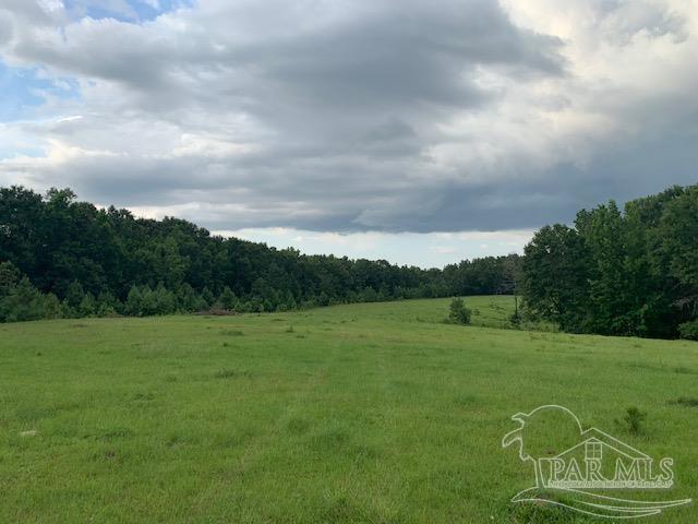 68428 A Scranage Road Atmore, AL 36502 - Photo 11 of 25