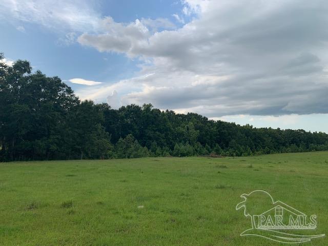 68428 A Scranage Road Atmore, AL 36502 - Photo 12 of 25