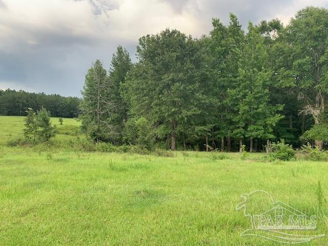 68428 A Scranage Road Atmore, AL 36502 - Photo 13 of 25