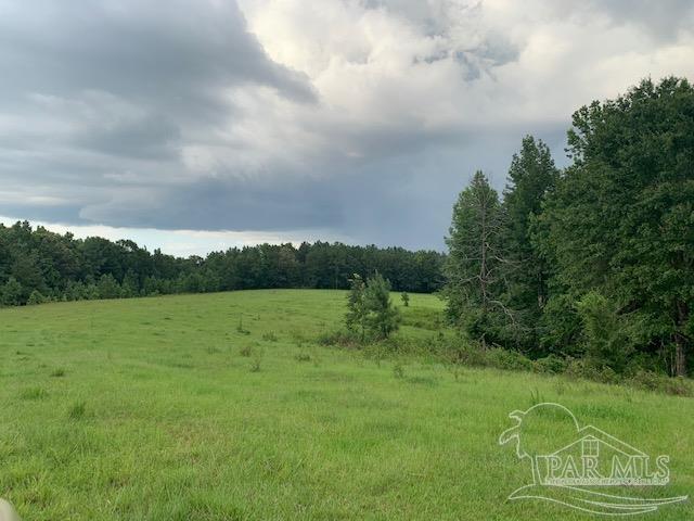 68428 A Scranage Road Atmore, AL 36502 - Photo 14 of 25