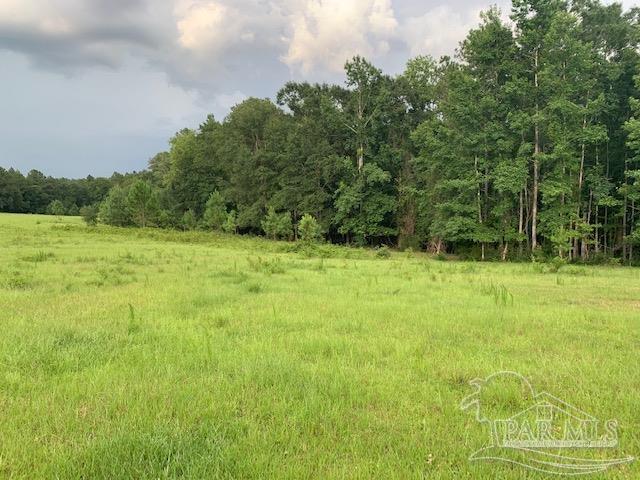 68428 A Scranage Road Atmore, AL 36502 - Photo 15 of 25