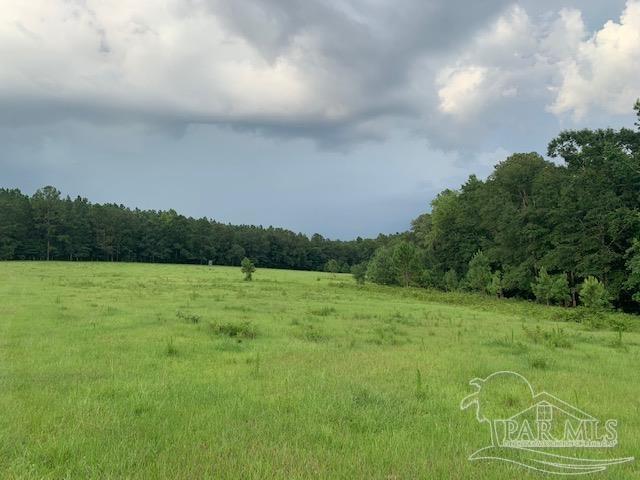 68428 A Scranage Road Atmore, AL 36502 - Photo 16 of 25