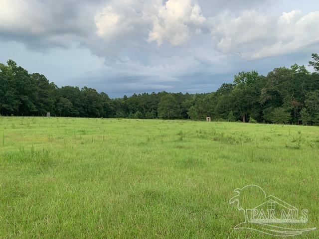 68428 A Scranage Road Atmore, AL 36502 - Photo 17 of 25