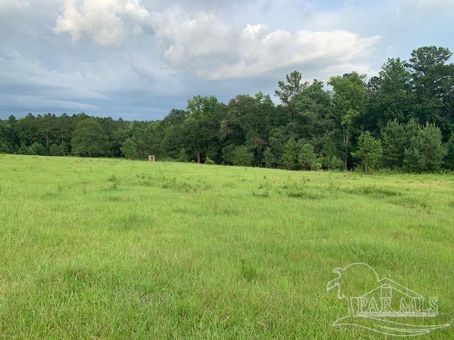68428 A Scranage Road Atmore, AL 36502 - Photo 18 of 25