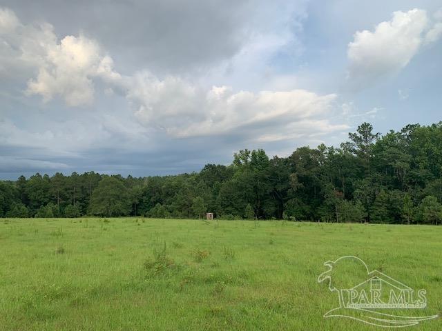 68428 A Scranage Road Atmore, AL 36502 - Photo 19 of 25