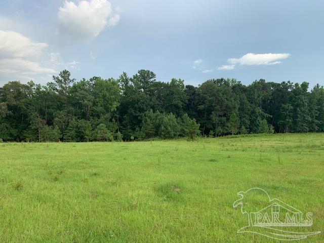 68428 A Scranage Road Atmore, AL 36502 - Photo 20 of 25