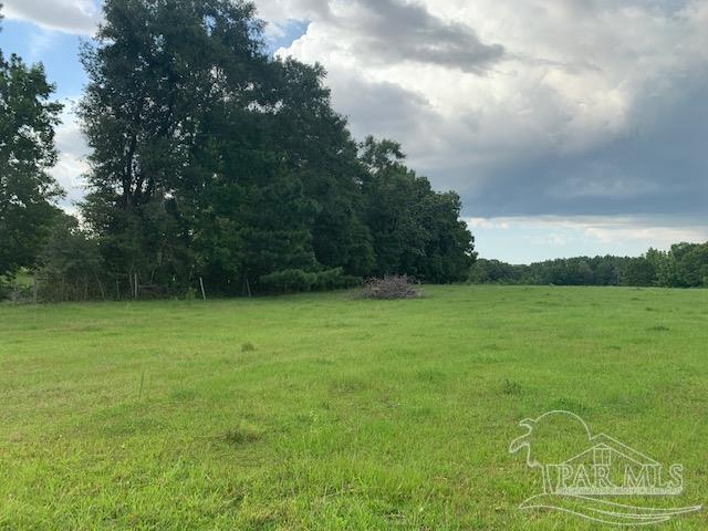 68428 A Scranage Road Atmore, AL 36502 - Photo 3 of 25
