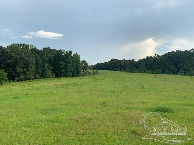 68428 A Scranage Road Atmore, AL 36502 - Photo 21 of 25