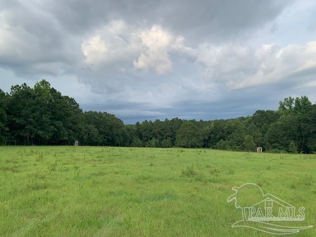 68428 A Scranage Road Atmore, AL 36502 - Photo 22 of 25