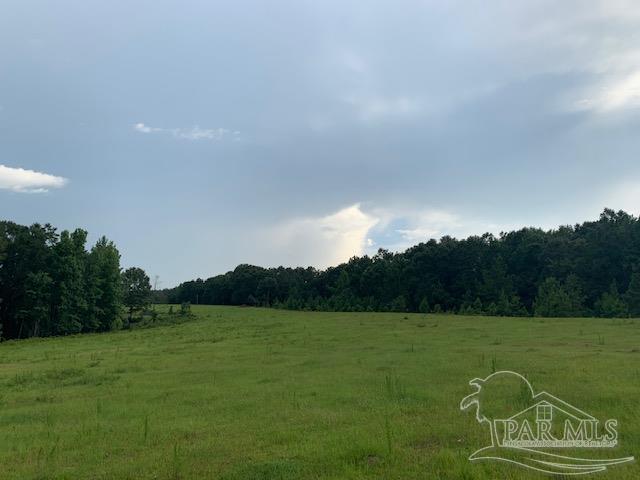 68428 A Scranage Road Atmore, AL 36502 - Photo 23 of 25