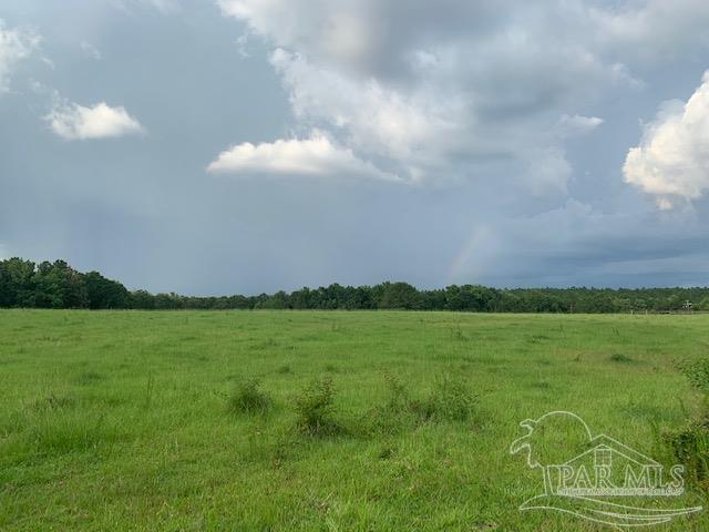 68428 A Scranage Road Atmore, AL 36502 - Photo 4 of 25