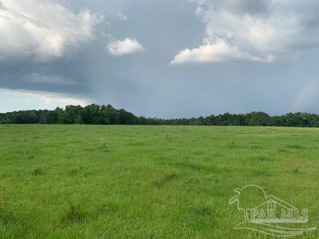 68428 A Scranage Road Atmore, AL 36502 - Photo 5 of 25