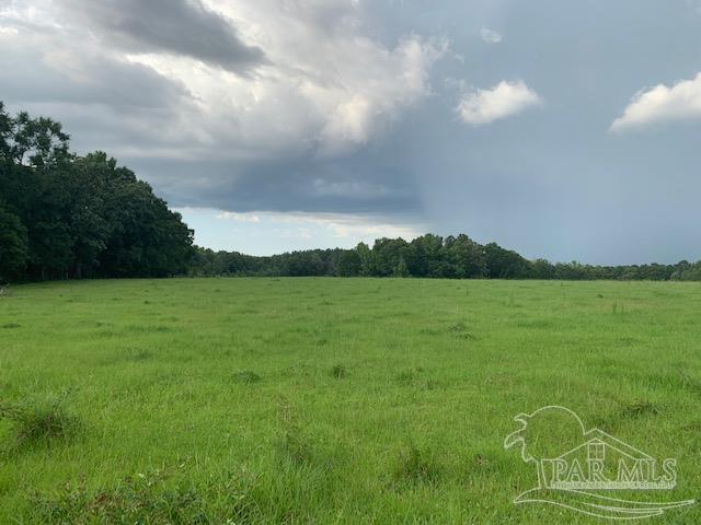 68428 A Scranage Road Atmore, AL 36502 - Photo 6 of 25