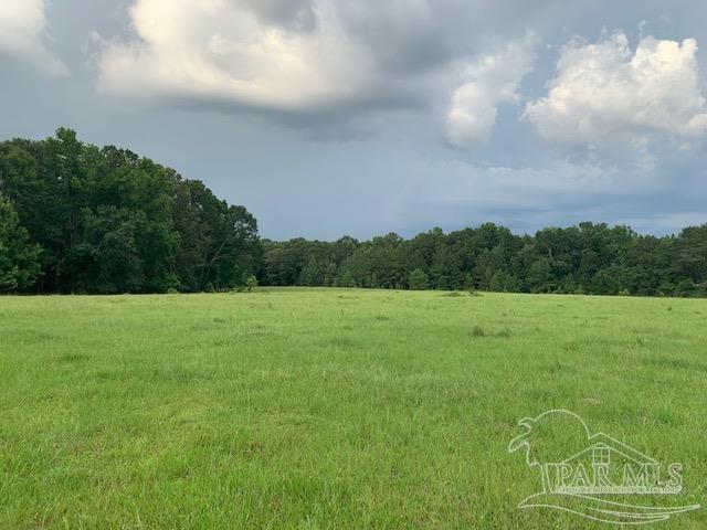 68428 A Scranage Road Atmore, AL 36502 - Photo 7 of 25