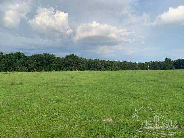 68428 A Scranage Road Atmore, AL 36502 - Photo 8 of 25