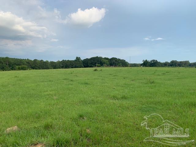 68428 A Scranage Road Atmore, AL 36502 - Photo 9 of 25