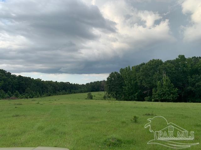 68428 A Scranage Road Atmore, AL 36502 - Photo 10 of 25