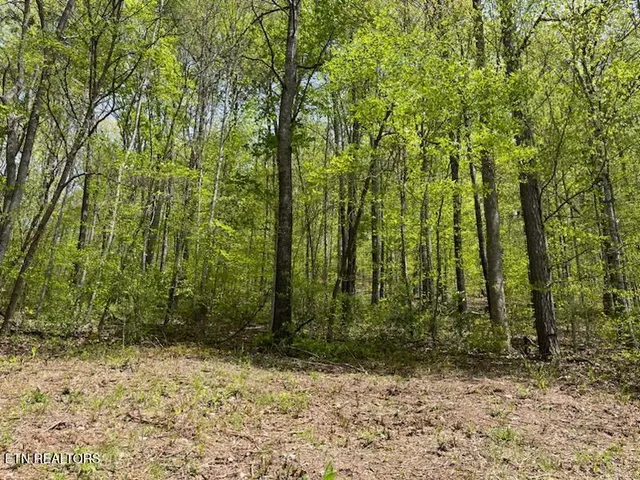 $50,000 | Cabin Road, Speedwell, TN 37870