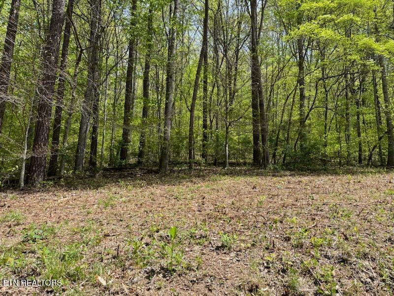 Cabin Road Speedwell, TN 37870 - Photo 2 of 9 bigger lot 3