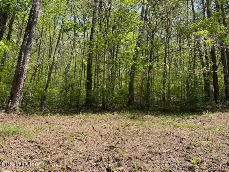 Cabin Road Speedwell, TN 37870 - Photo 3 of 9 bigger lot 2