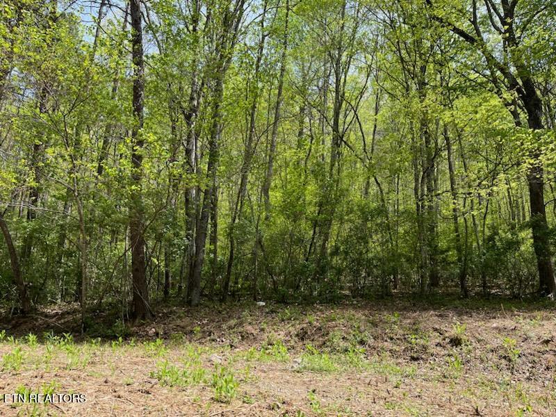 Cabin Road Speedwell, TN 37870 - Photo 4 of 9 bigger lot 1