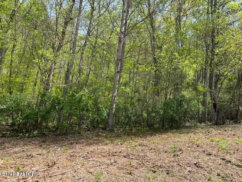 Cabin Road Speedwell, TN 37870 - Photo 6 of 9 smaller lot 2