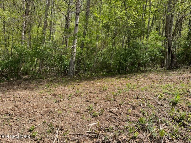 Cabin Road Speedwell, TN 37870 - Photo 7 of 9 smaller lot 1