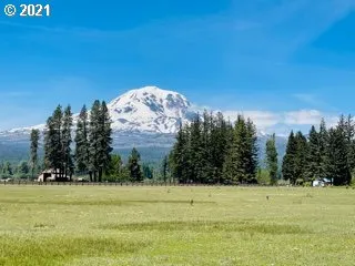 a view of a field with trees in the background