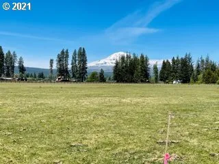 a view of a field with an trees in the background