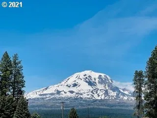 a view of a wooden fence