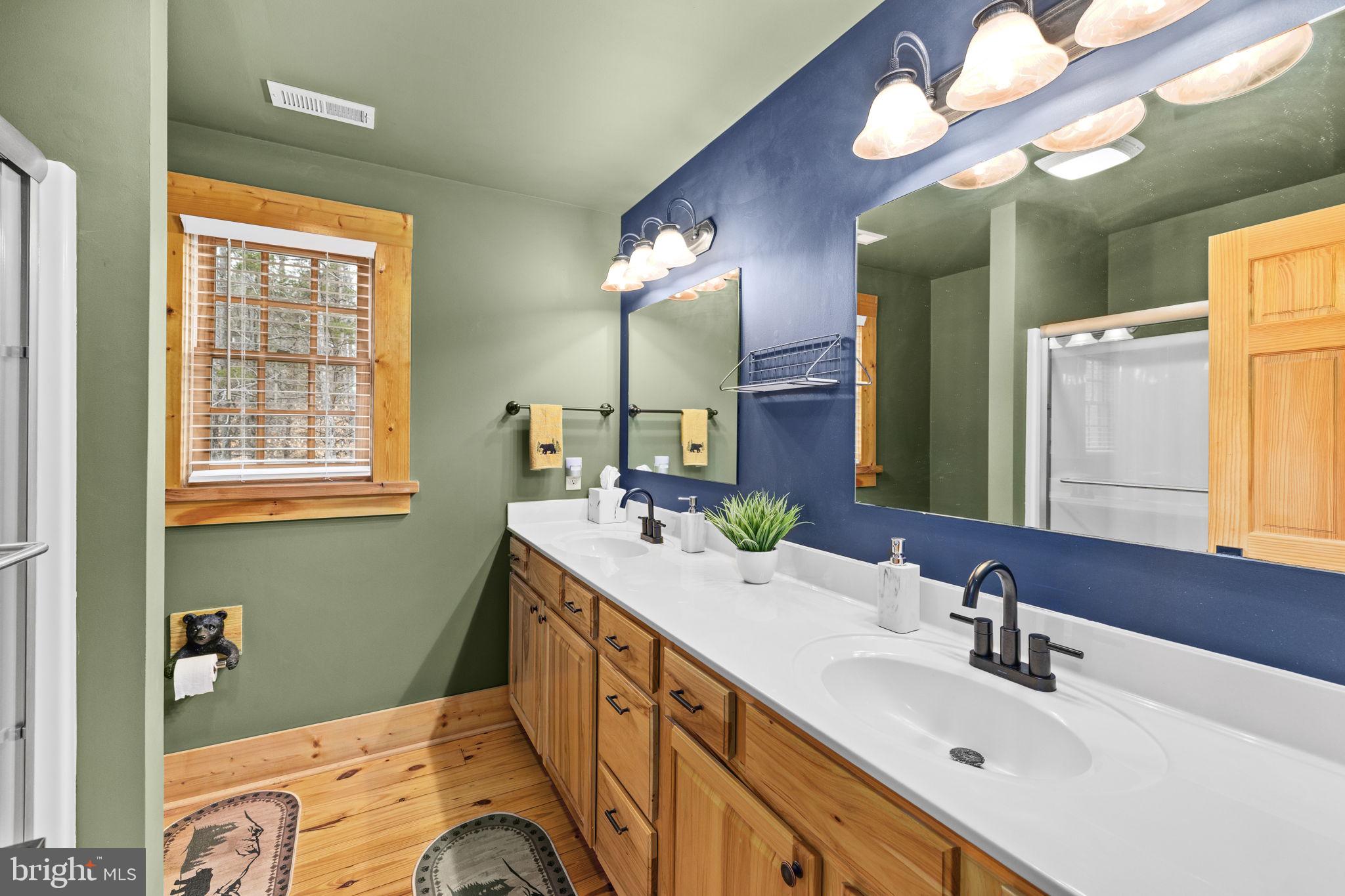 17 Fox Run Bumpass, VA 23024 - Photo 31 of 47 a bathroom with a sink vanity and a mirror