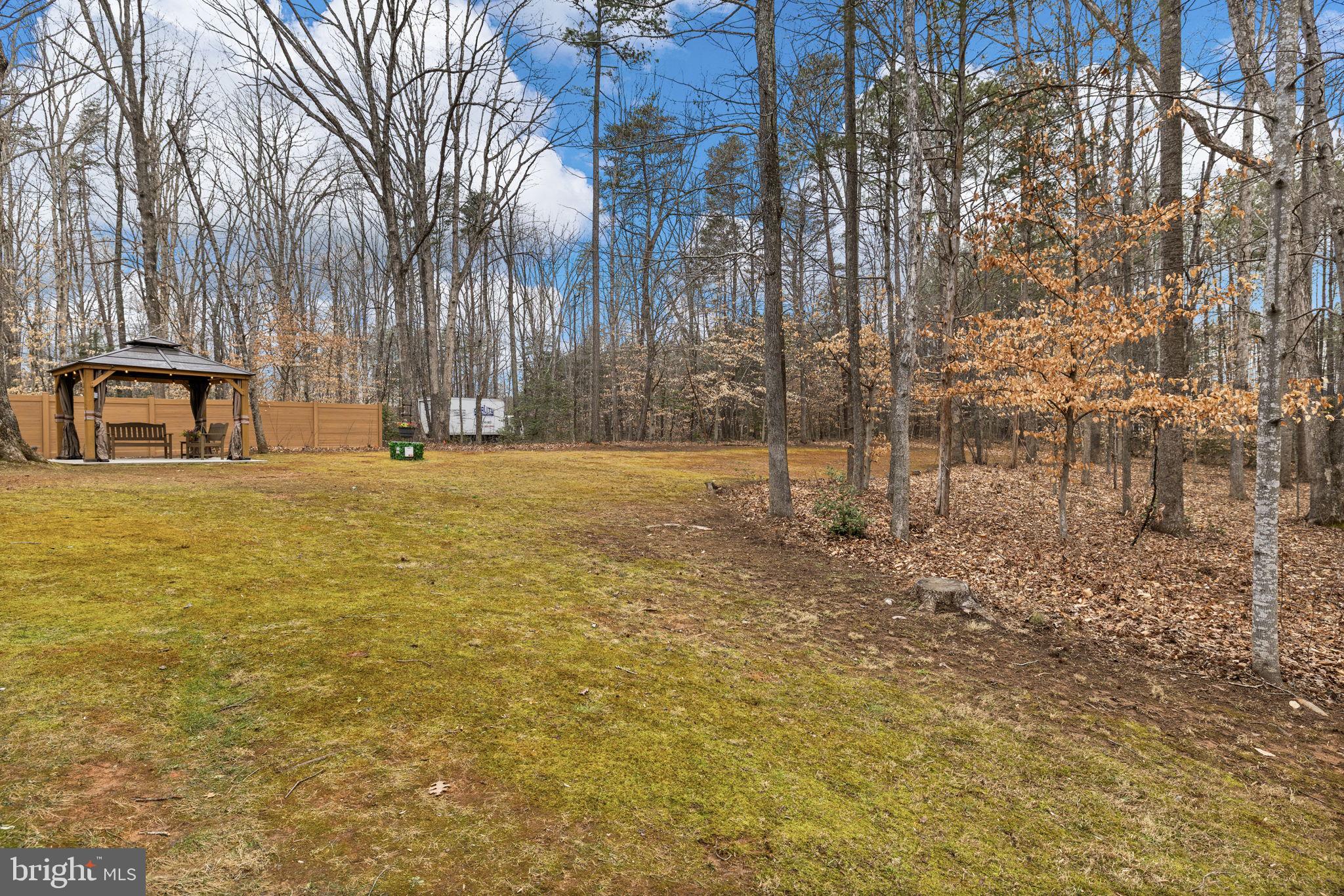 17 Fox Run Bumpass, VA 23024 - Photo 44 of 47 a view of swimming pool with large trees
