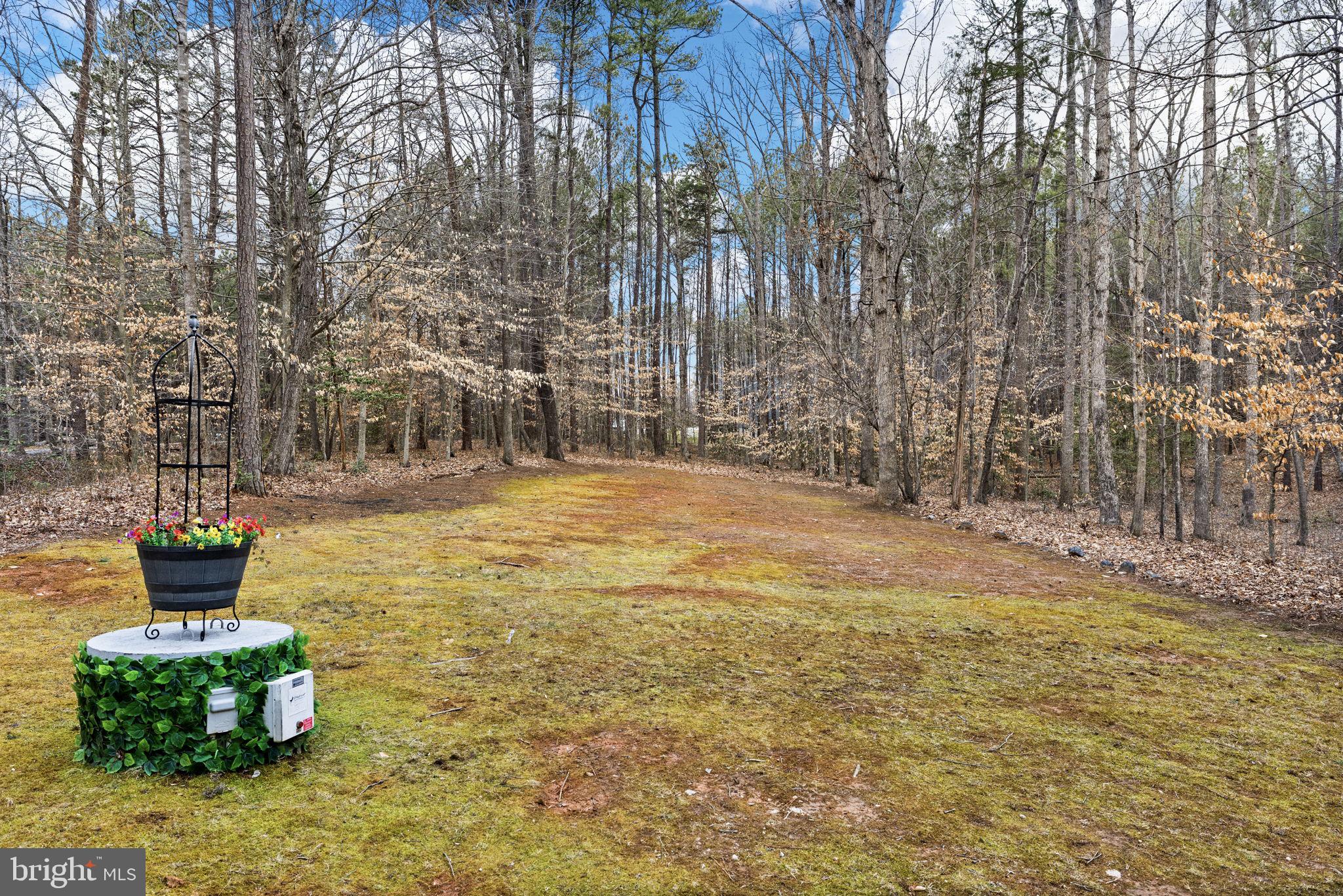 17 Fox Run Bumpass, VA 23024 - Photo 45 of 47 a view of a garden with potted plants