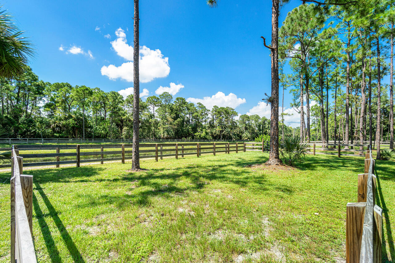 1835 Stallion Drive, Unit STALLS Loxahatchee, FL 33470 - Photo 23 of 35 a view of a park with a large tree