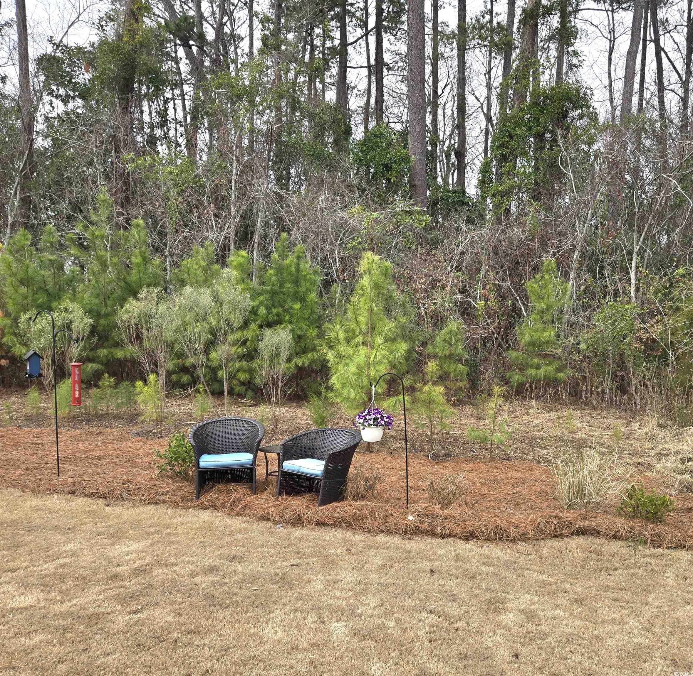 1577 Littleleaf Loop North Myrtle Beach, SC 29582 - Photo 30 of 40 View of yard
