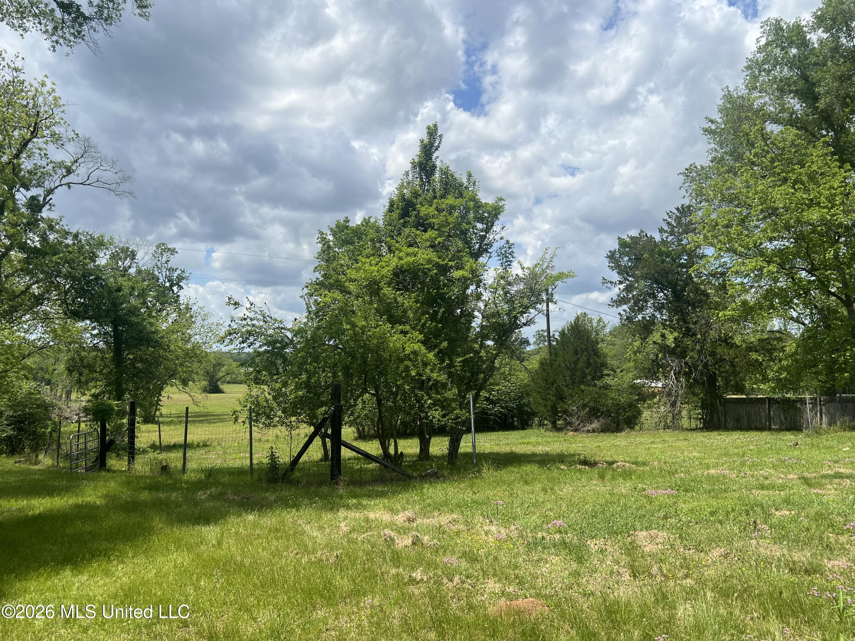 3461 Peoria Road Liberty, MS 39645 - Photo 7 of 8 IMG_5117