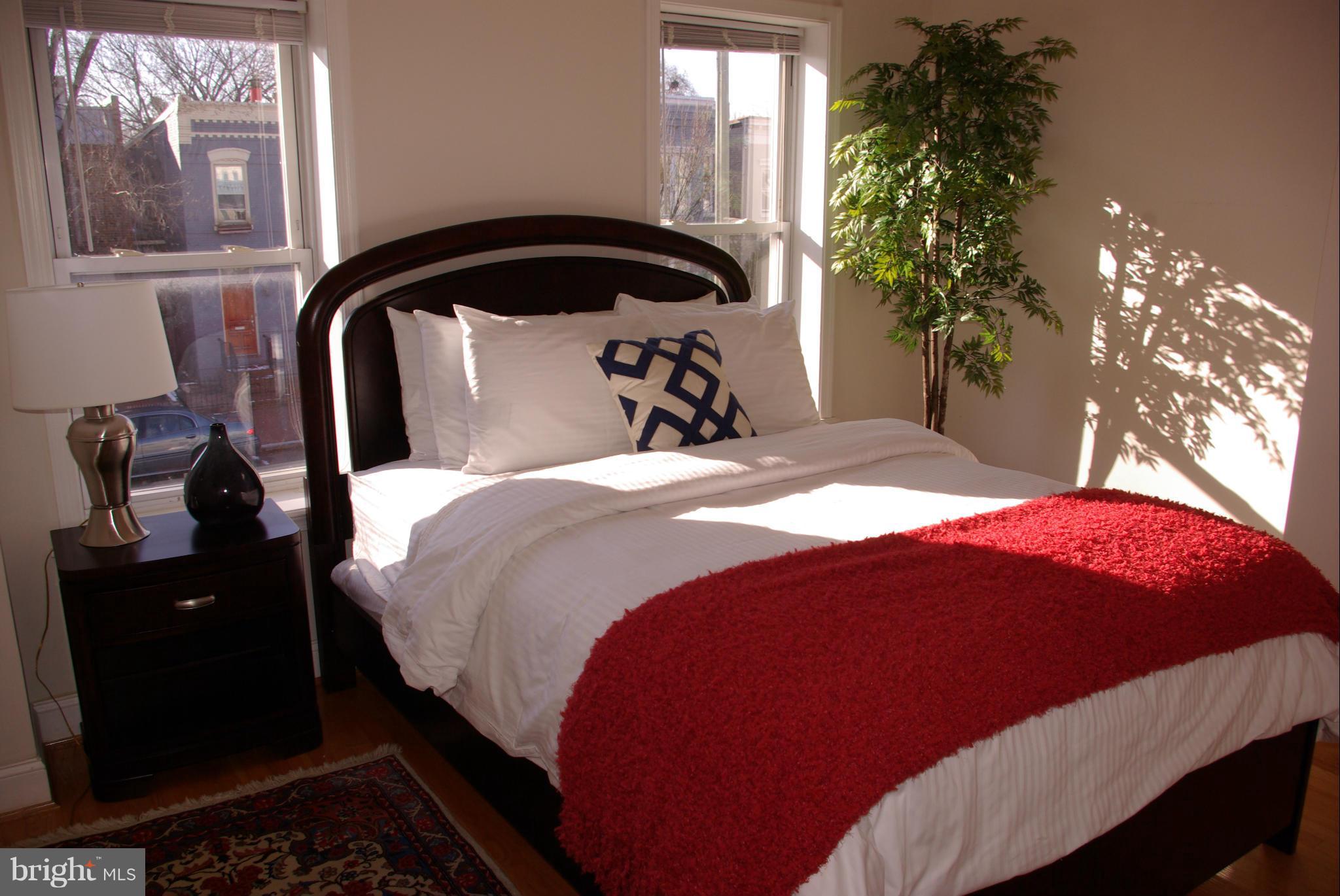 318 11th Street Southeast Washington, DC 20003 - Photo 14 of 26 a bedroom with a bed and a potted plant