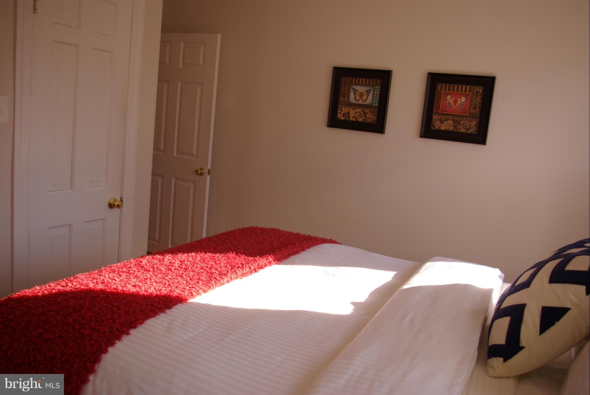 318 11th Street Southeast Washington, DC 20003 - Photo 15 of 26 a bedroom with a bed and a lamp