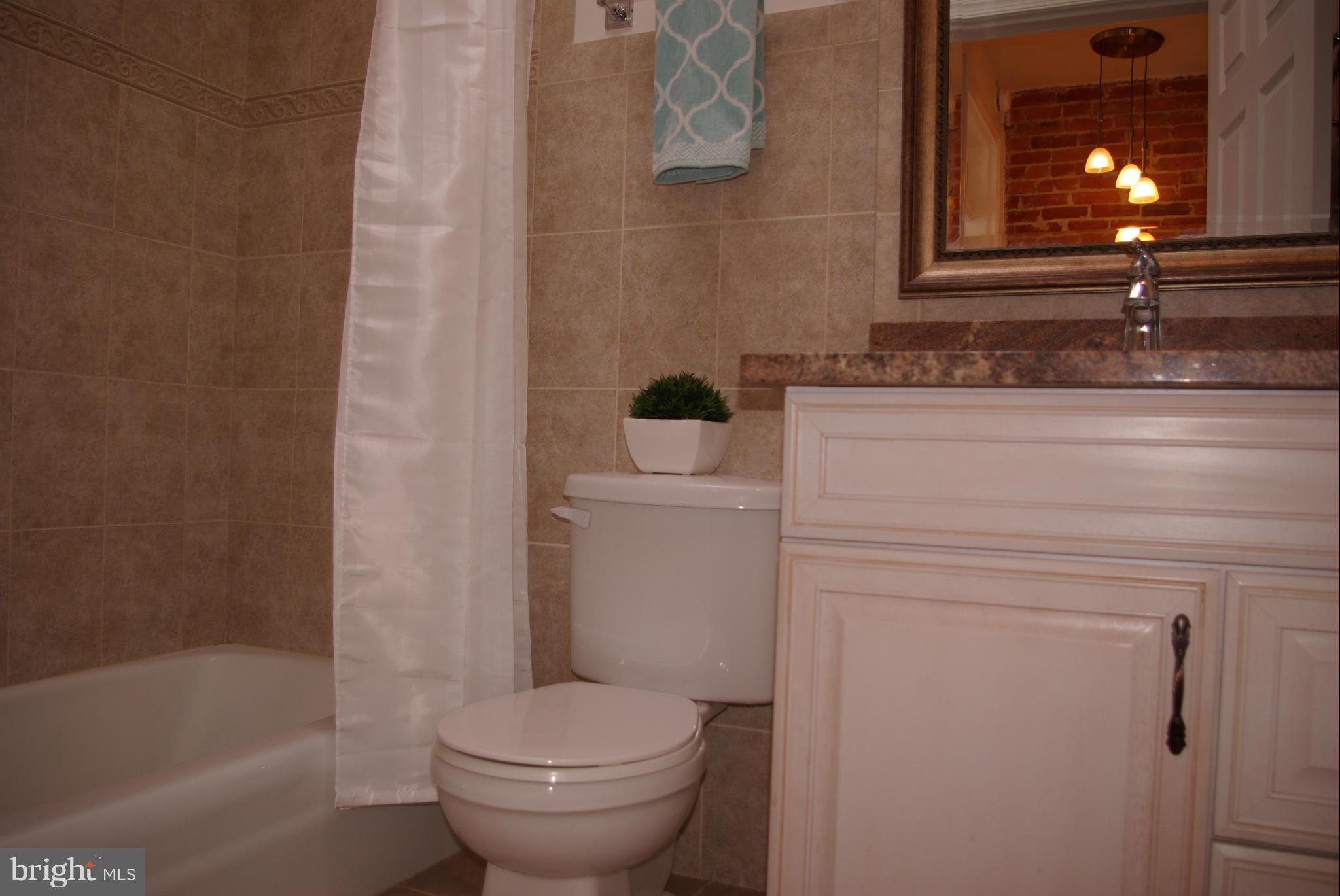 318 11th Street Southeast Washington, DC 20003 - Photo 16 of 26 a bathroom with a sink toilet and shower