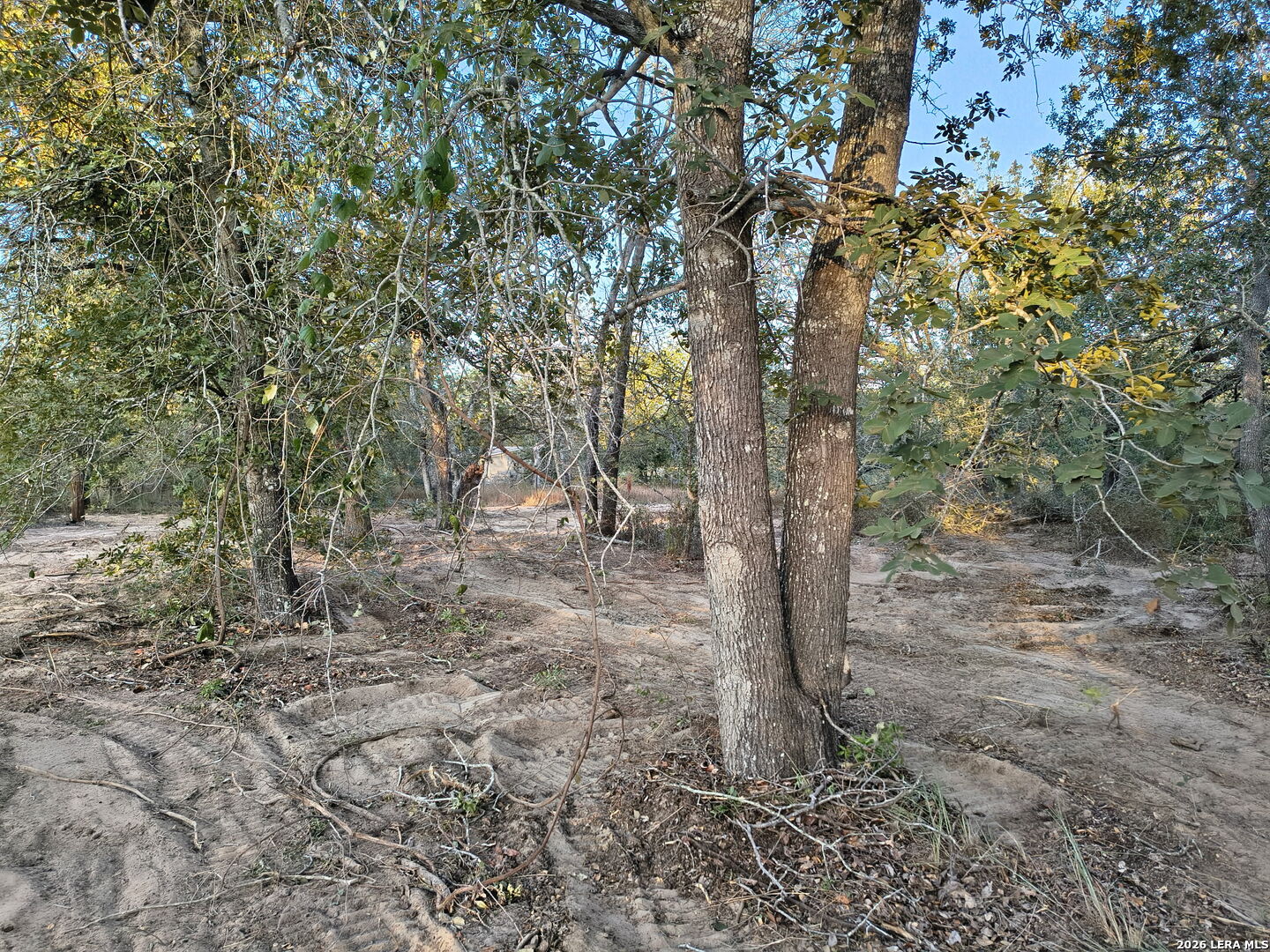 0 Priest Road Elmendorf, TX 78112 - Photo 6 of 11 Gallery Image 6