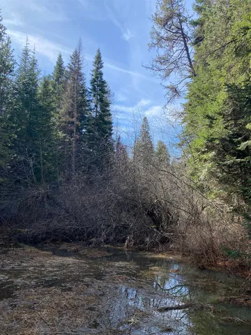 $385,000 | 44-xx Whittier Road, Clayton, WA 99110