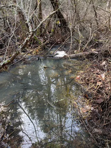 $385,000 | 44-xx Whittier Road, Clayton, WA 99110