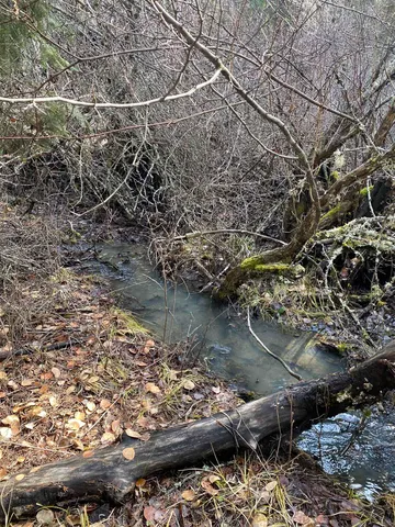 $385,000 | 44-xx Whittier Road, Clayton, WA 99110