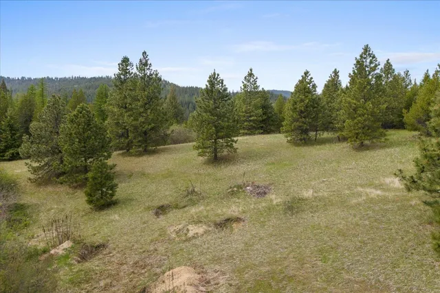 $385,000 | 44-xx Whittier Road, Clayton, WA 99110